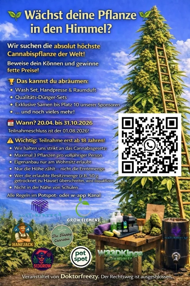 Wächst deine Pflanze in den Himmel?